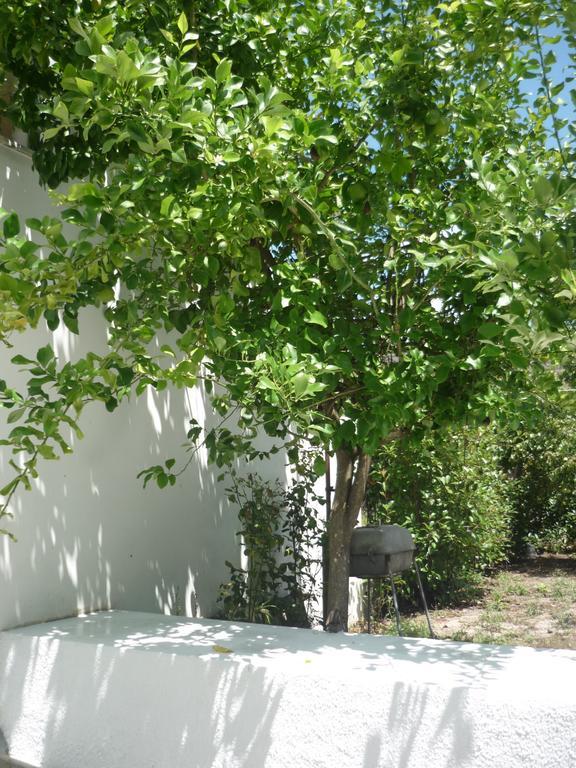 Casa Da Terra Villa Góis Rom bilde